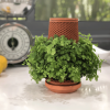 Tevaplanter : Self Watering Planter