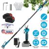 2-In-1 Electric Pruning Shear with Extension Pole 21V 4.0Ah Batteries Powered Cordless Pruner Reach 13FT High 0.98in Cutting Diameter for Tree Trimmin