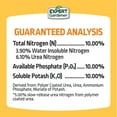 Expert Gardener Flower Plant Food Fertilizer 10-10-10, 4 lb.