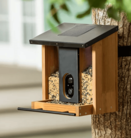 Smart Solar Bird Feeder