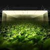 VEVOR 400W LED Grow Light, High Yield Samsung 281B Diodes Growing Lamp for Indoor Plants Seedling Veg and Bloom Greenhouse Growing, Full Spectrum Dimm