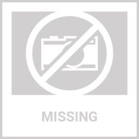 VEVOR Tree Pruner Pole Saw 10 ft Extendable Aluminum Pole Sharp Steel Blade