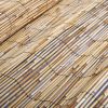 Garden Reed Fence 196.9"x39.4"