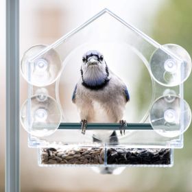 Clear Plastic Window Bird Feeder for Outside  with Strong Suction Cups