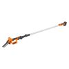 VEVOR 2-in-1 Cordless Pole Saw & Mini Chainsaw, 20V 2Ah Battery Pole Chainsaw, 5" Cutting Capacity 8 ft Reach Pole Saw for Branch Cutting & Tree Trimm
