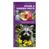 House & Garden Pests