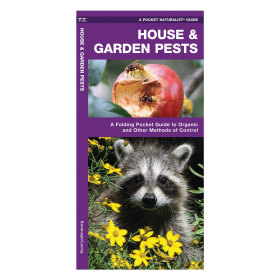 House & Garden Pests