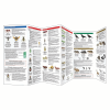 House & Garden Pests