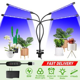 Grow Lights for Indoor Plants