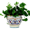 RICCO DERUTA PLANTER/CACHEPOT