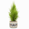 RICCO DERUTA PLANTER/CACHEPOT
