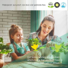 Sticky Fruit Fly Trap and Fungus Gnat Traps Killer for Indoor and Outdoor, Protect The Plant, Non-Toxic and Odorless