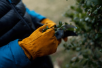 JustForKids Kids Genuine Leather Work Gloves