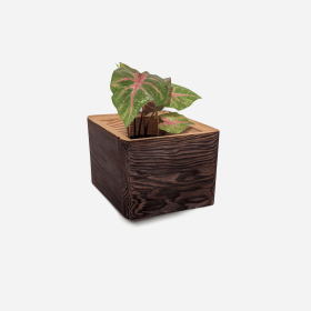Diamond self-watering, wall-mounted planter (size: Bling Bling (6" pot)Color)