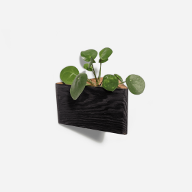 Triangle self-watering, wall-mounted planter (Color: Brushed brown)