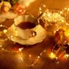 2/5/10m Pearl Wire Copper String Light Christmas Valentine Wedding Decoration for Home Wedding Party Mariage Garland Decoration
