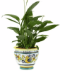 RAFFAELLESCO PLANTER/CACHEPOT