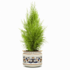 RICCO DERUTA PLANTER/CACHEPOT